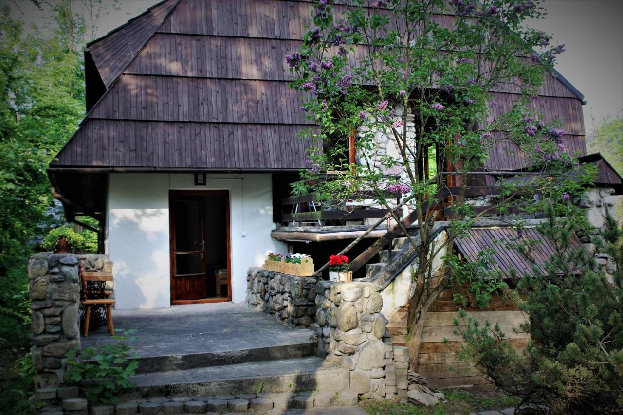 Willa Gawra - Zakopane — Zdjęcia 2